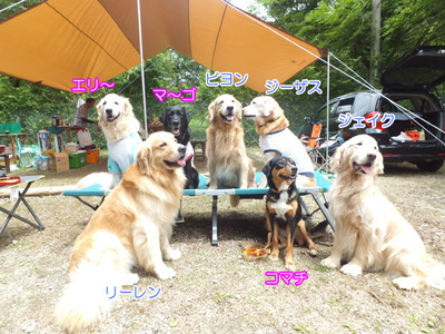 集合