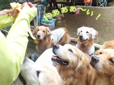 ばなな