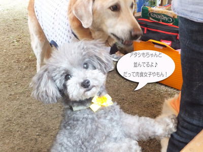 あず