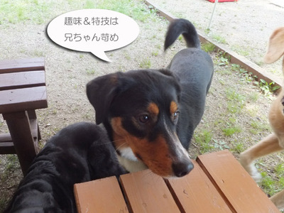 DSCF4629b