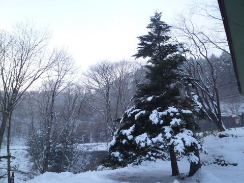 P1030558