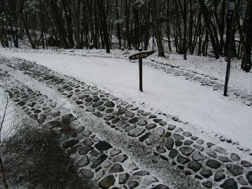 77ede117.jpg