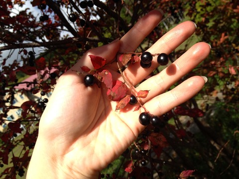 2013-10-02T12-42-12_36