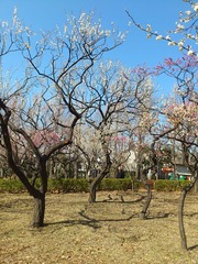 DSC_5259 - コピー