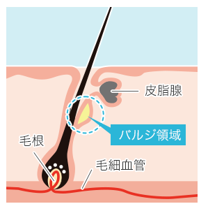 SnapCrab_NoName_2019-3-20_1-31-11_No-00