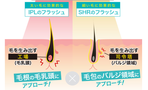 SnapCrab_NoName_2019-3-19_0-40-26_No-00