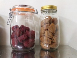 umebosi_070810