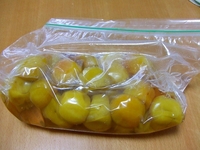 umebosi-pal_6_250610