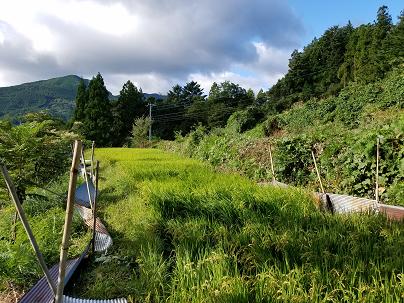20170918_073931