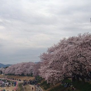 イオン 岡山 周辺 桜満開 宴満喫 心は満足 さくらカーニバル最後の週末 岡山市 後楽園東側の旭川河川敷 つれづれなるままの岡山 駅 イオンモール岡山 Gpsの周辺から イオン 中心 グローカル 366 Gps Aps