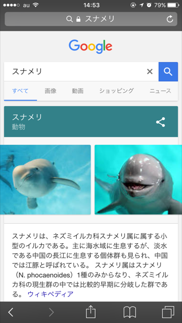 スナメリ