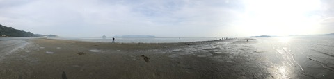 IMG_8519