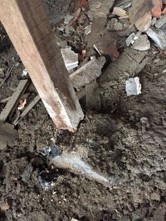 IMG_6303-thumbnail2