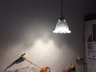 IMG_8956