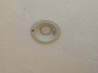 IMG_8957