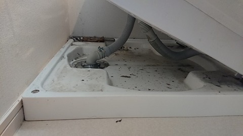 Laundry-drainage-3