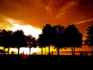 15072011(005)_2