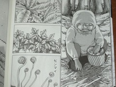 jpg-2