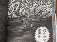 jpg-5