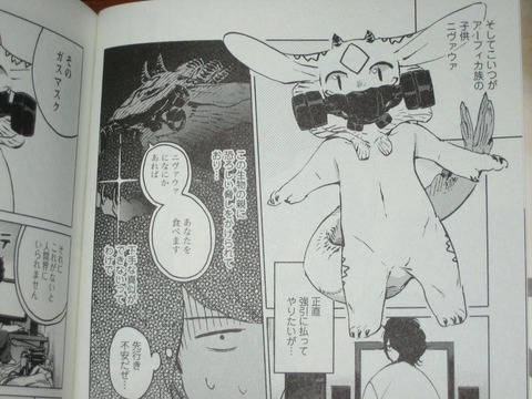 jpg-11