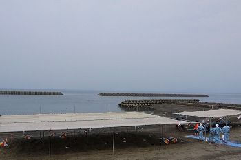 P1060581