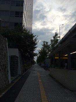 IMG_2930
