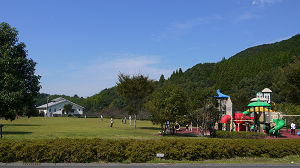 shoga1