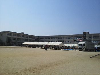 IMG_20140323_141929544