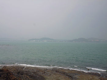 amamara11