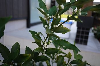 P1080127
