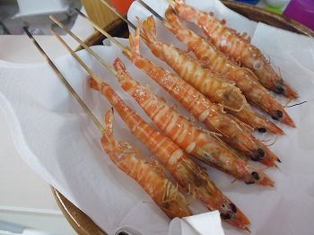 P1000591