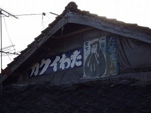 P1000748