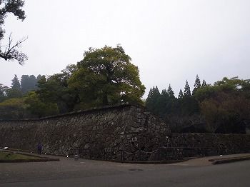 P1000278