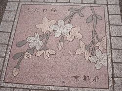 kou8