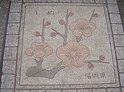 kou12
