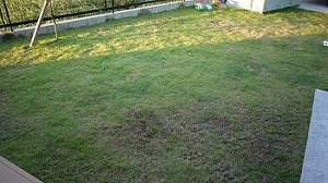 P1050352