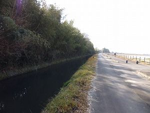 P1000743