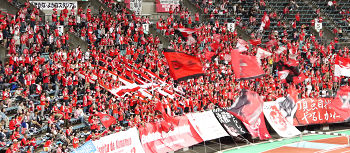 roa3