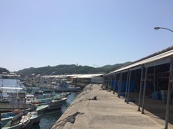 IMG_2008