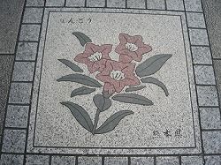 kou19