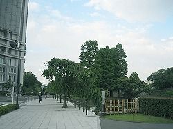 kou3