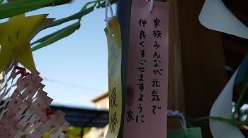 P1040731