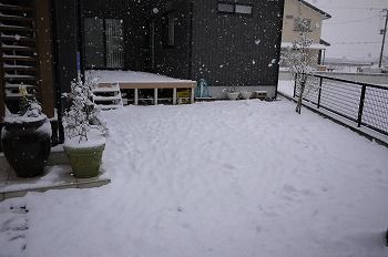 P1080913
