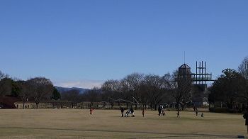 P1050987