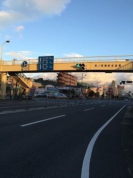 IMG_0559