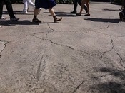 P1070086