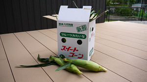 corn3
