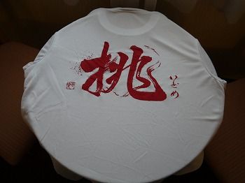 P1070831