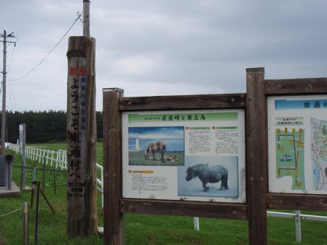 P8160136