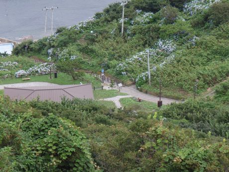 P8140048